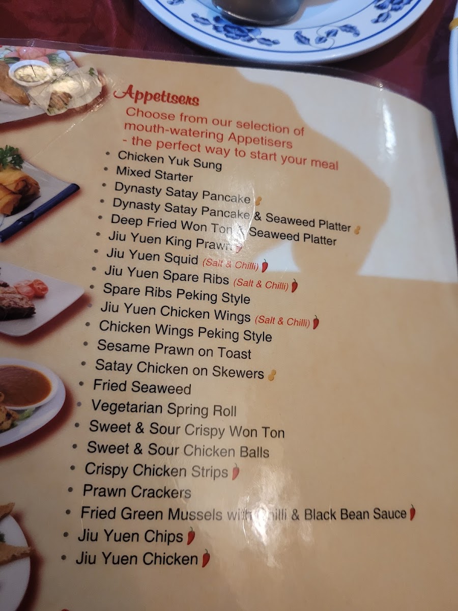 Menu - Dynasty Restaurant photo 7